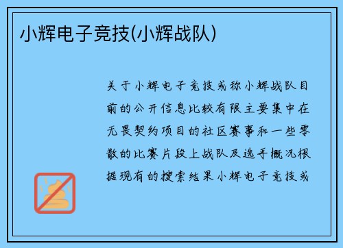 小辉电子竞技(小辉战队)
